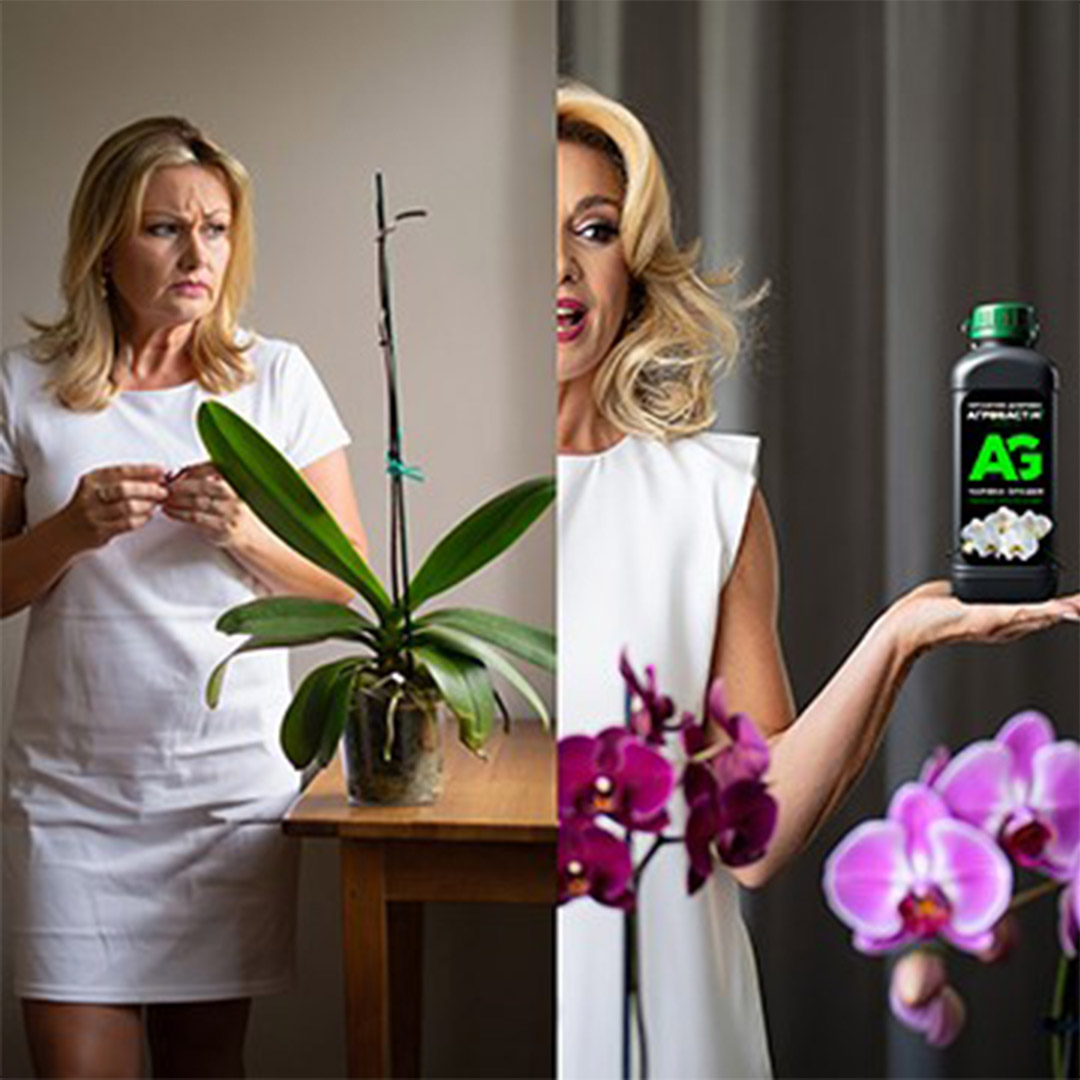 После: активный рост и цветение через 7–14 дней